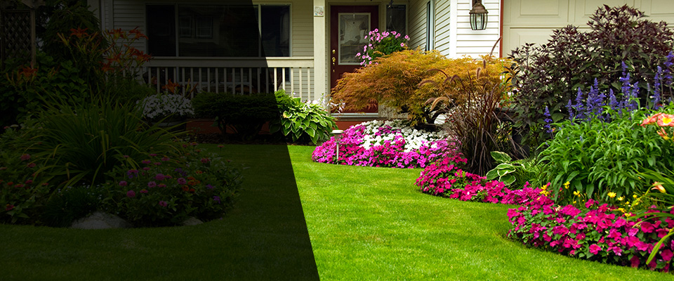 Wooster Landscapers