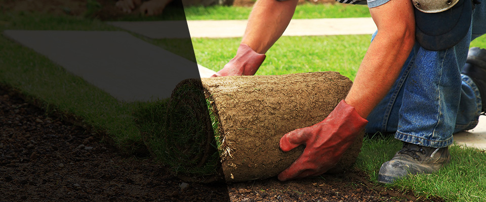 Wooster Landscapers